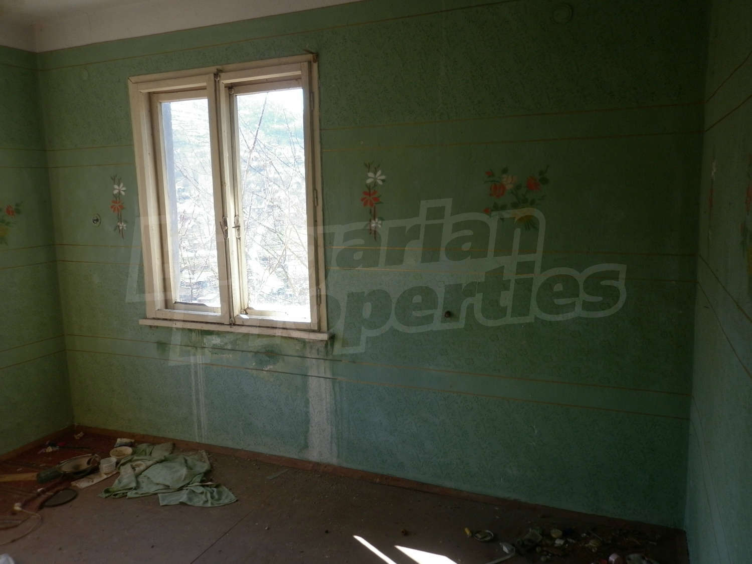 Gallery Picture 15