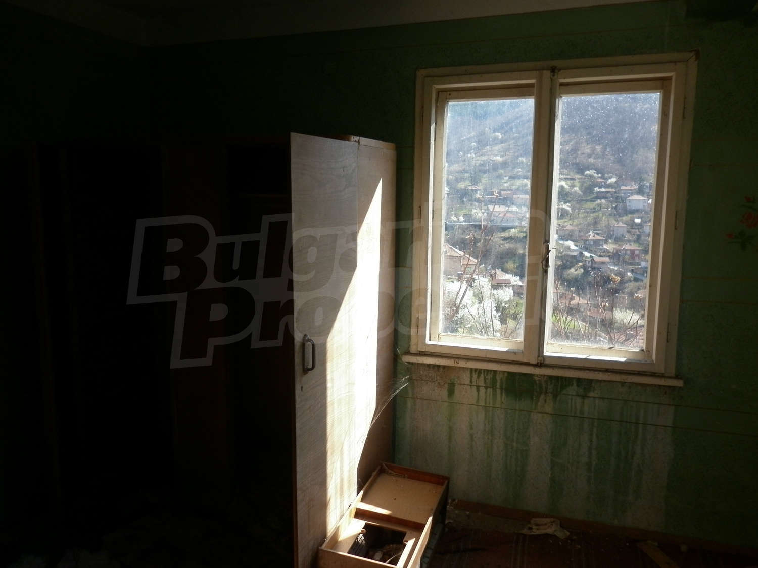 Gallery Picture 16