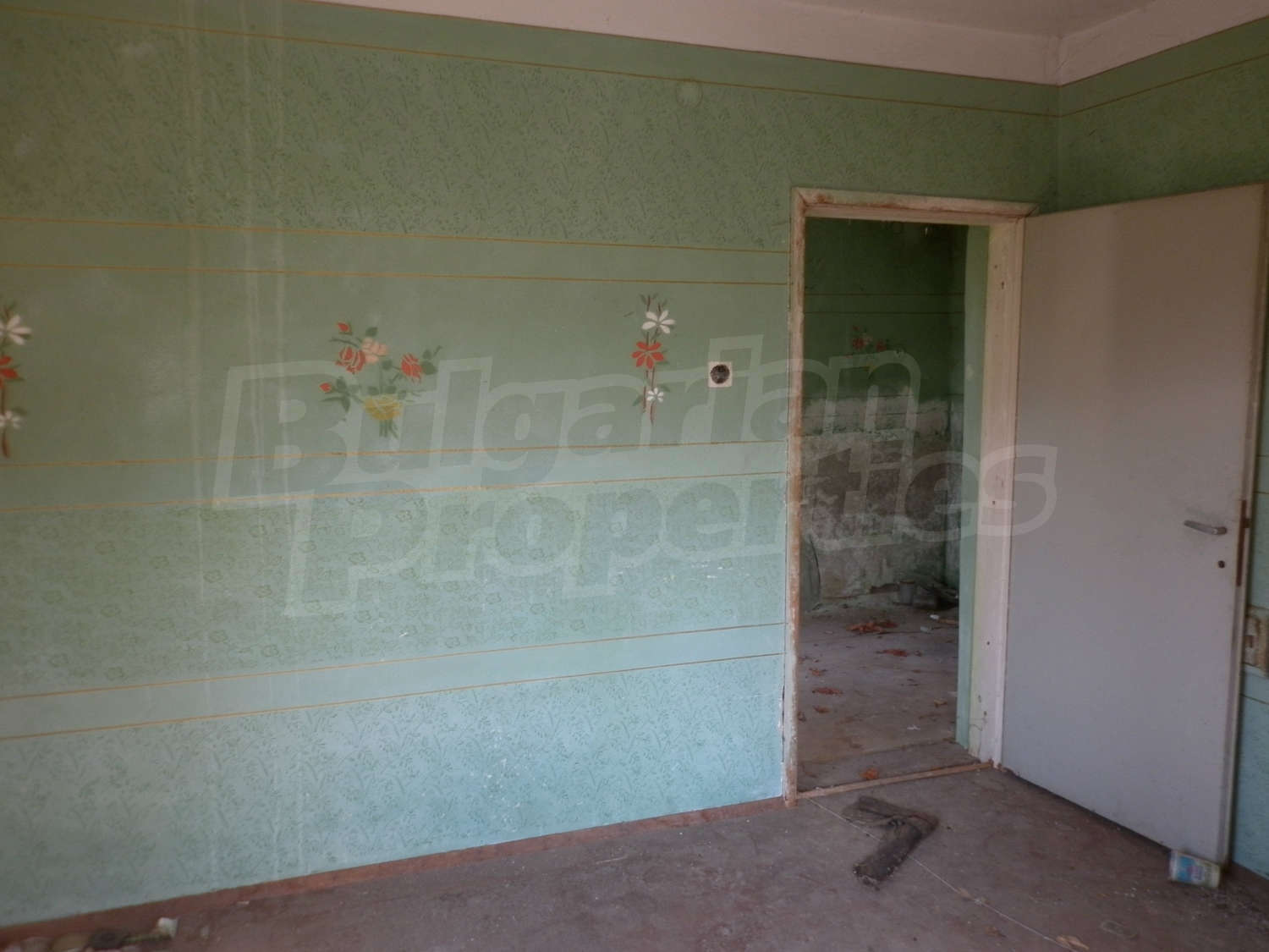 Gallery Picture 17