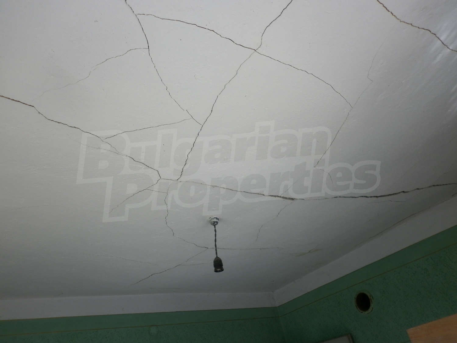 Gallery Picture 18