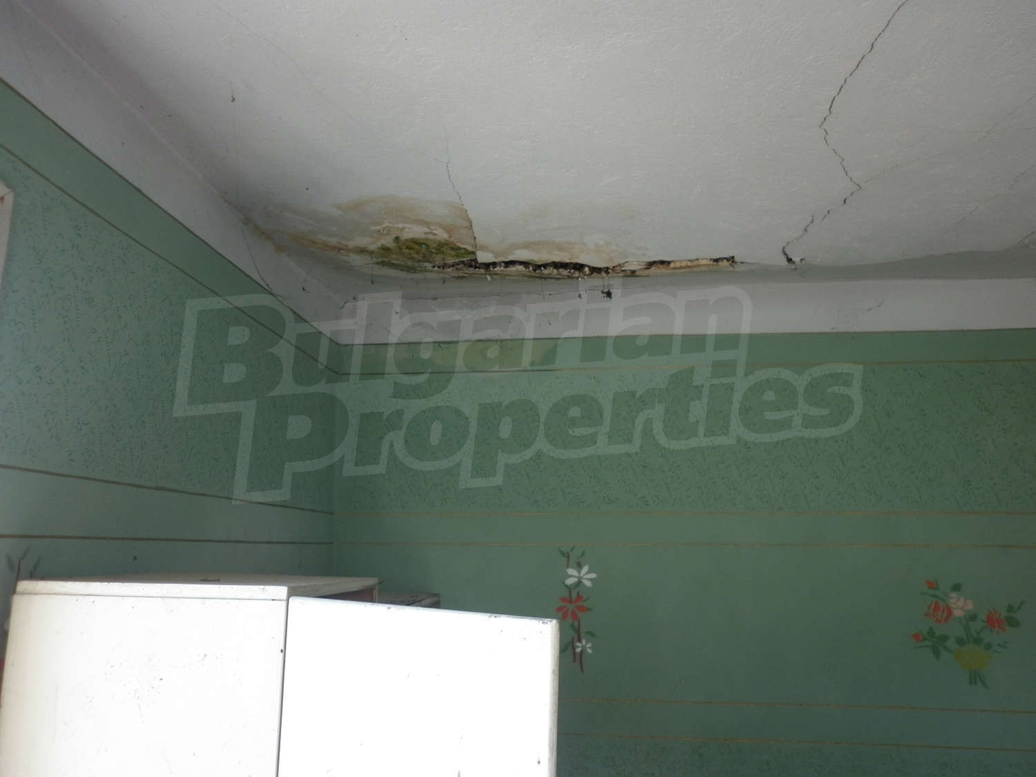 Gallery Picture 21