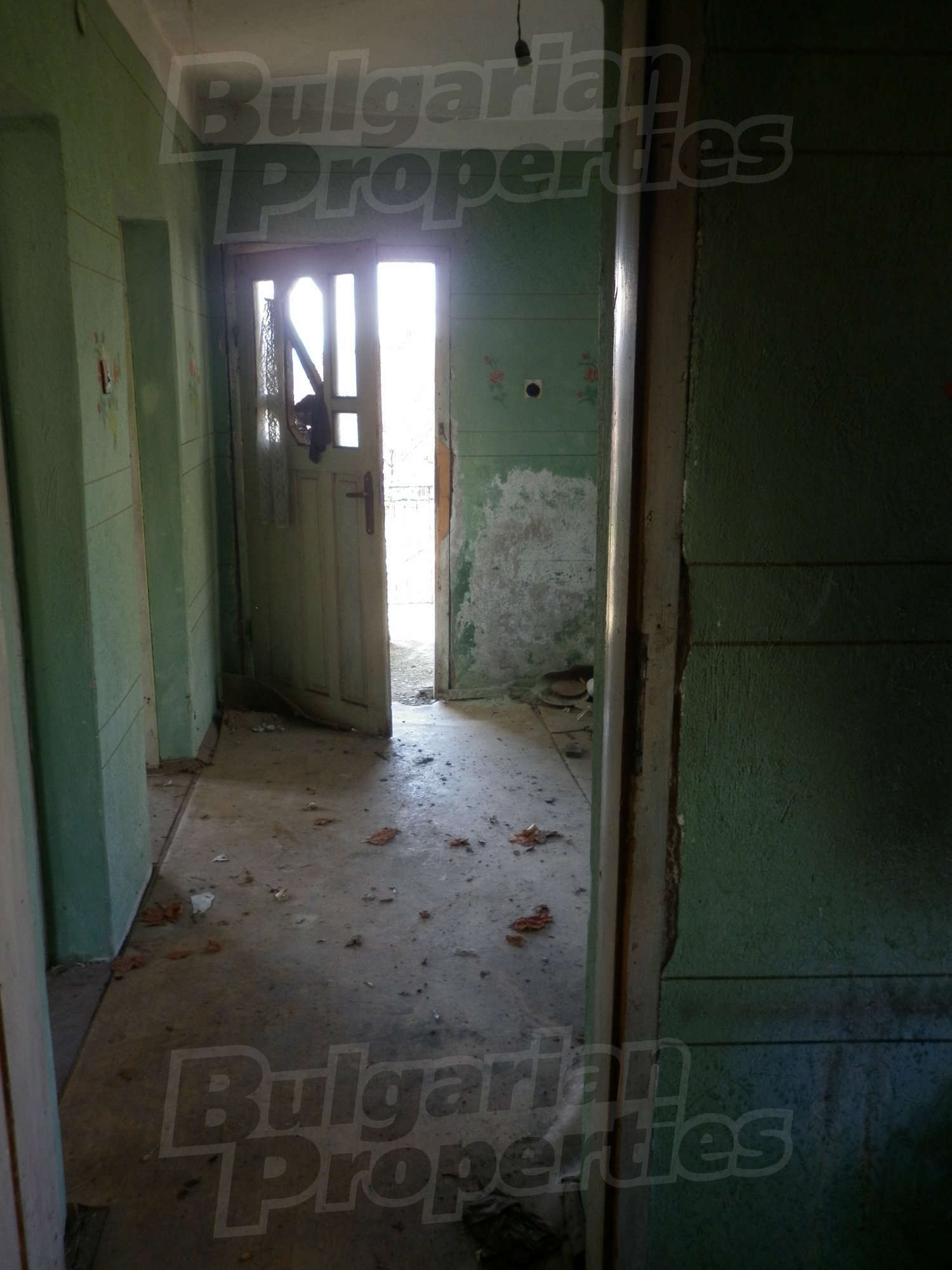 Gallery Picture 25
