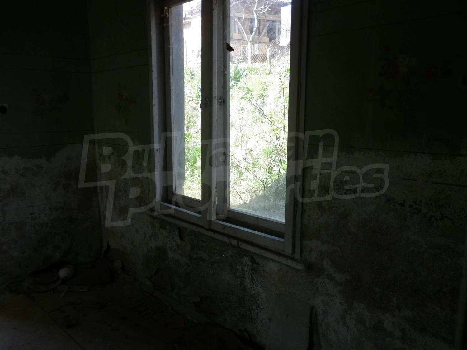 Gallery Picture 26