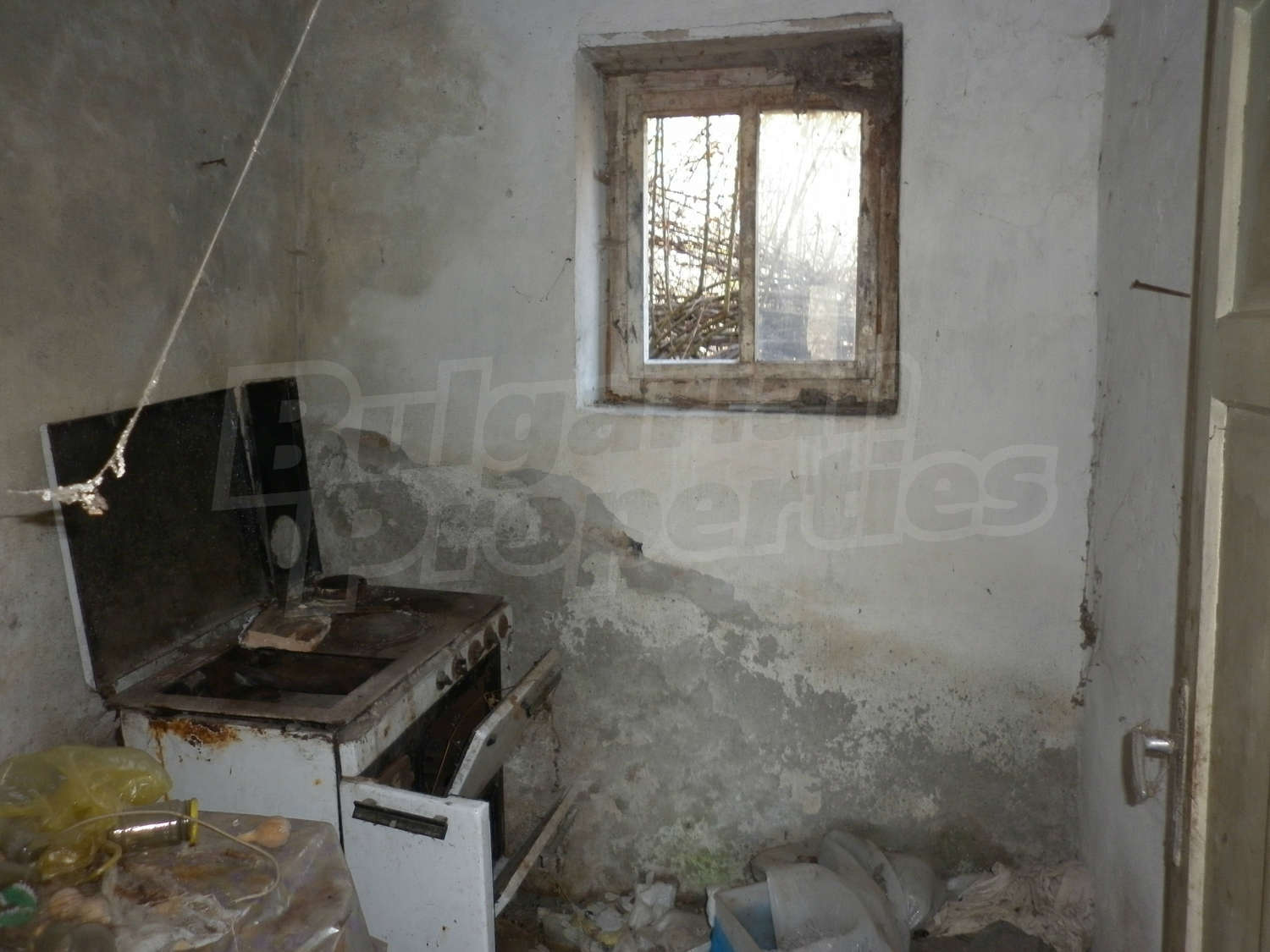 Gallery Picture 29
