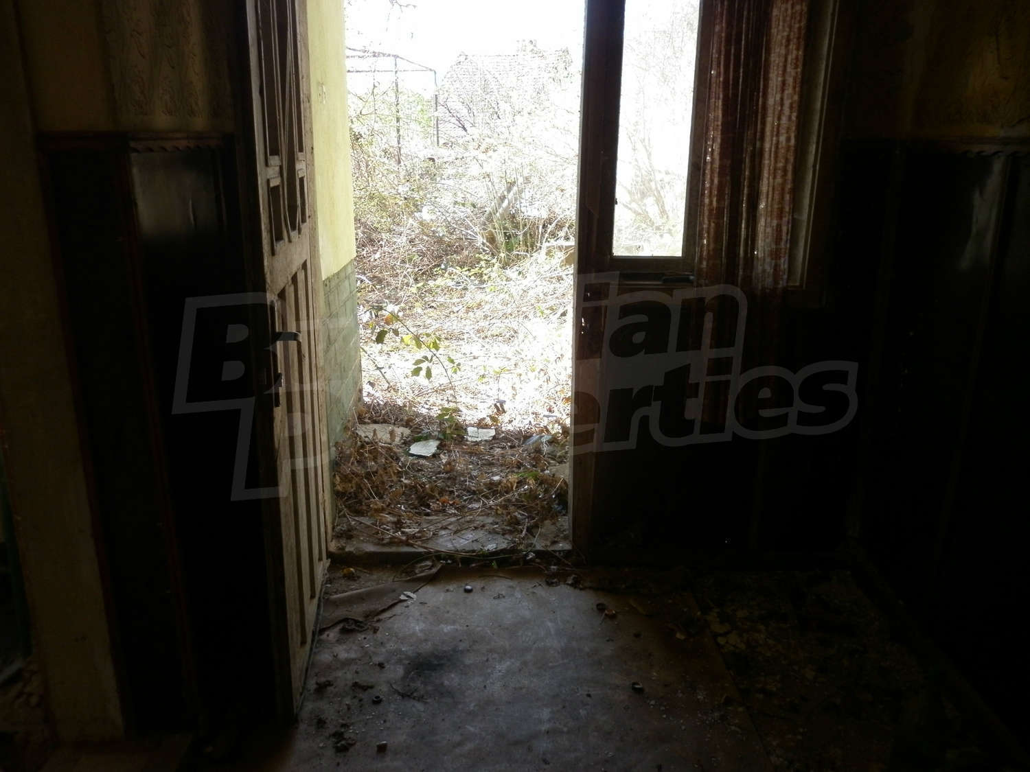 Gallery Picture 30