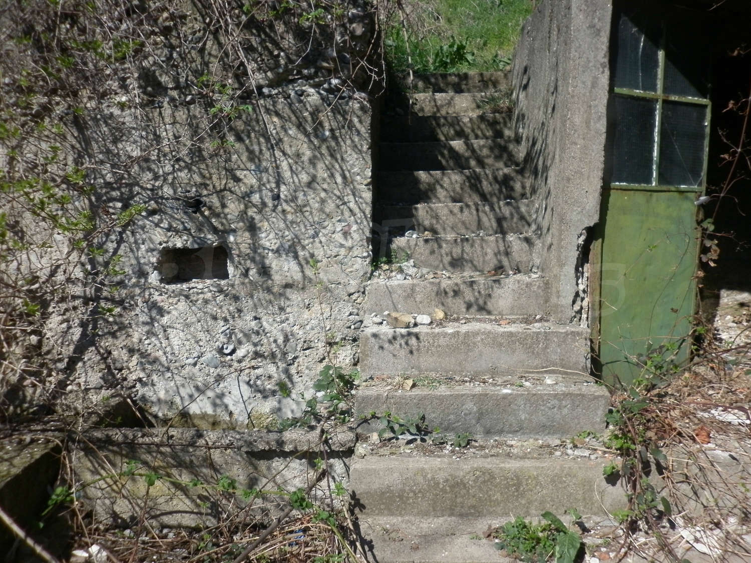 Gallery Picture 32