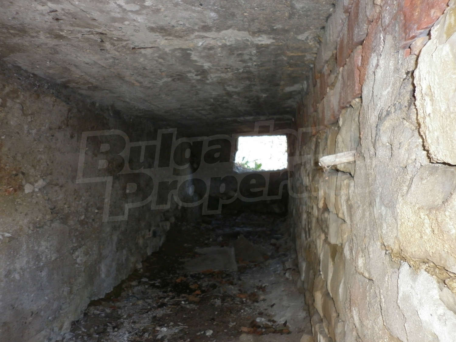 Gallery Picture 33