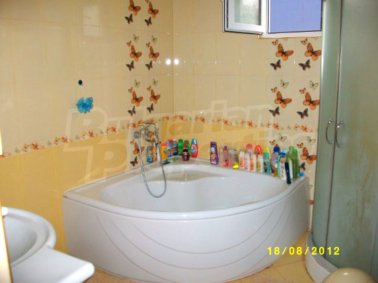 Gallery Picture 18