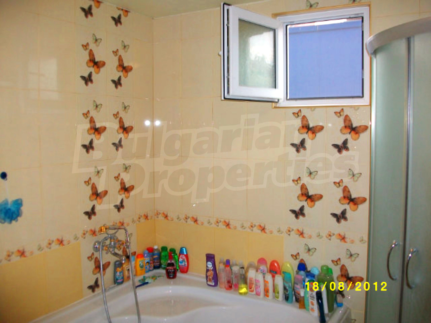 Gallery Picture 21