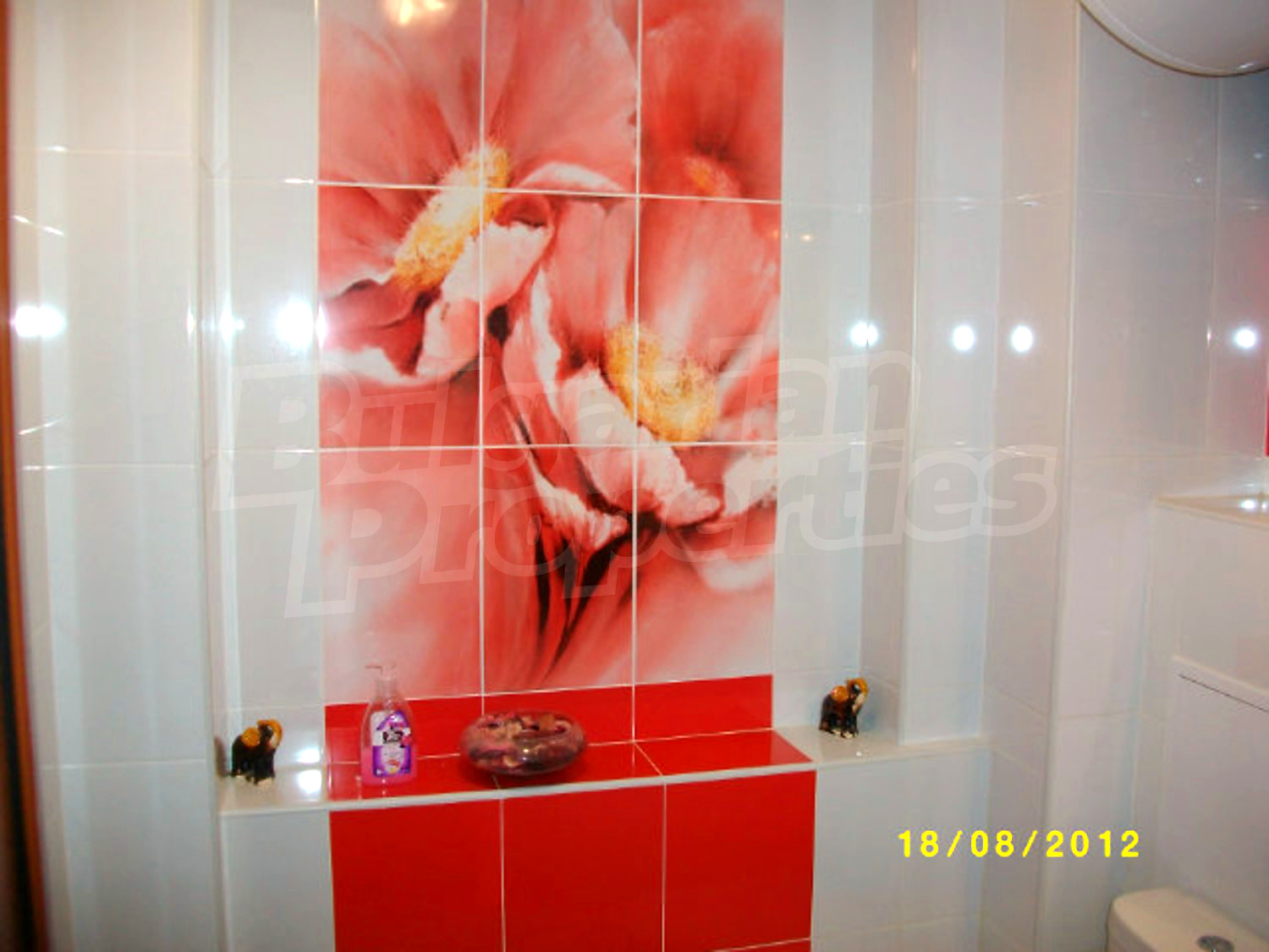 Gallery Picture 23