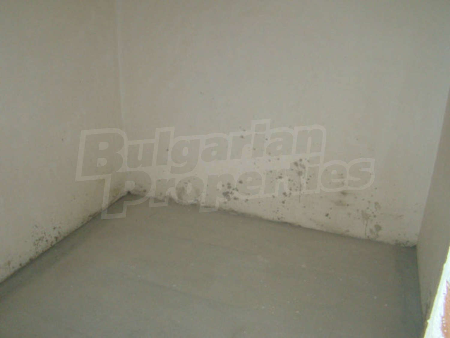Gallery Picture 14
