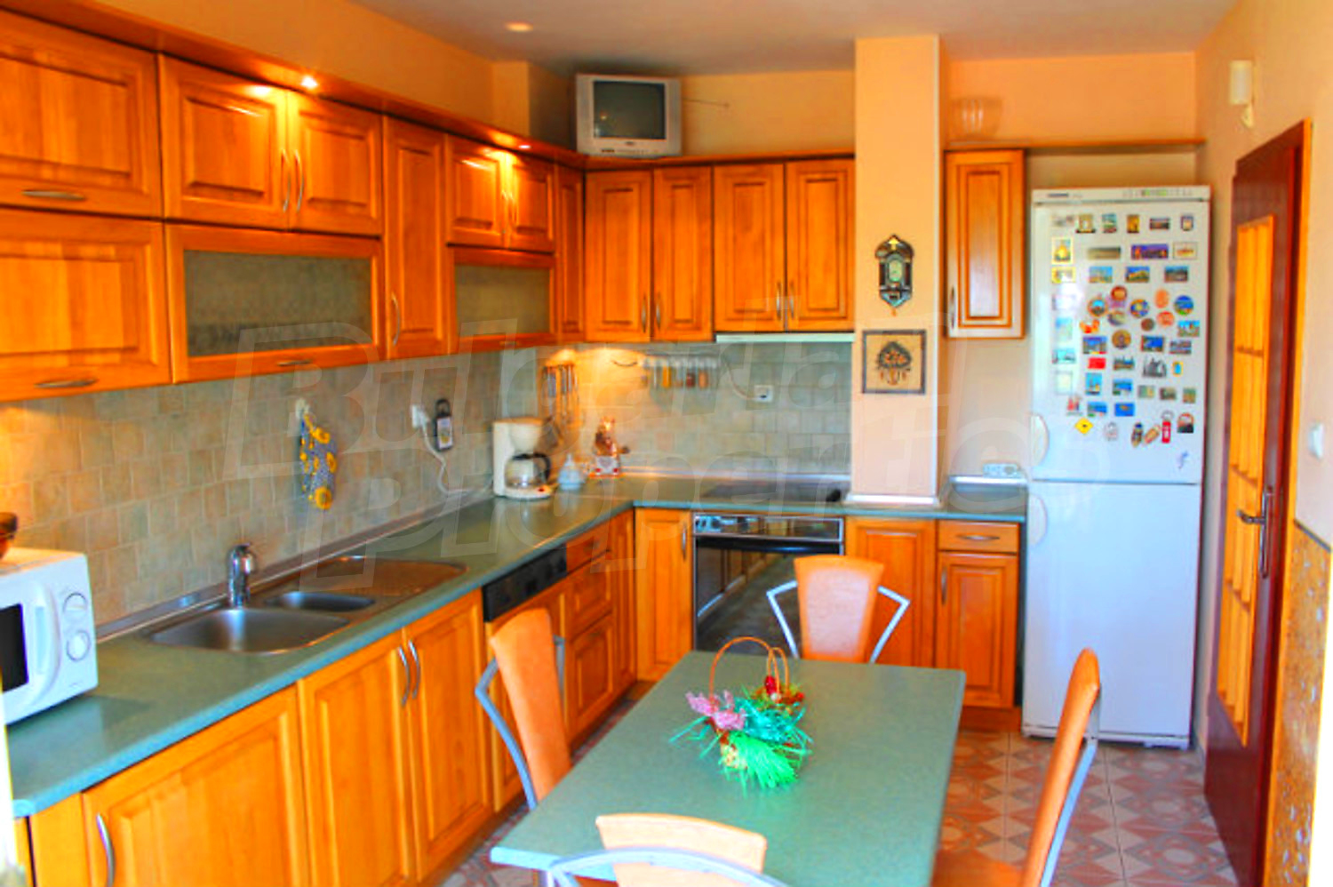 Gallery Picture 16
