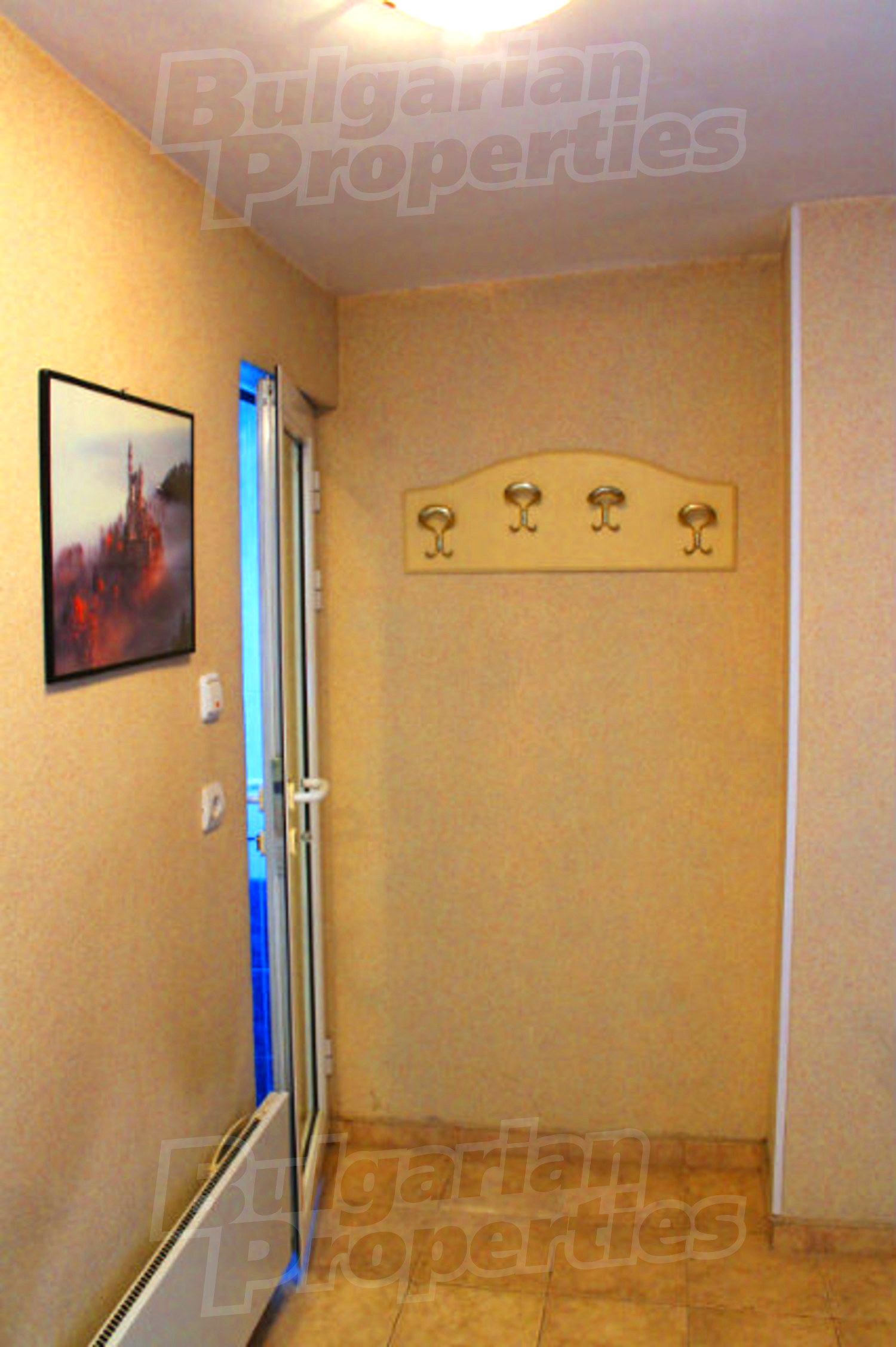 Gallery Picture 19