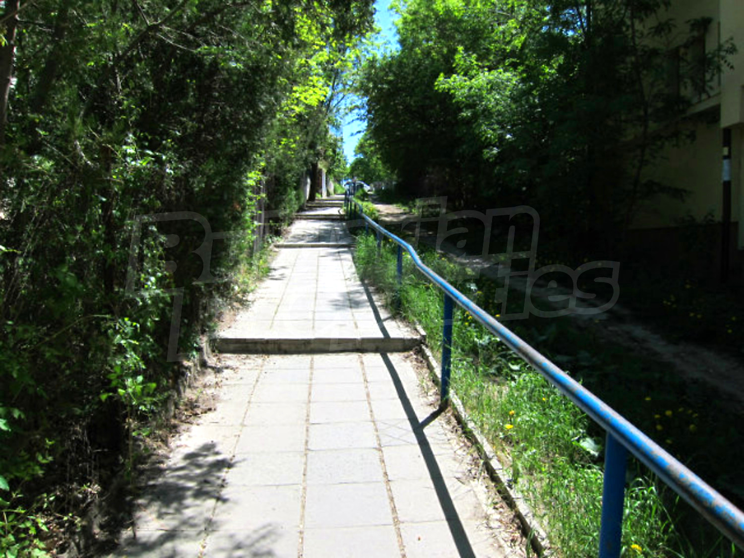 Gallery Picture 32