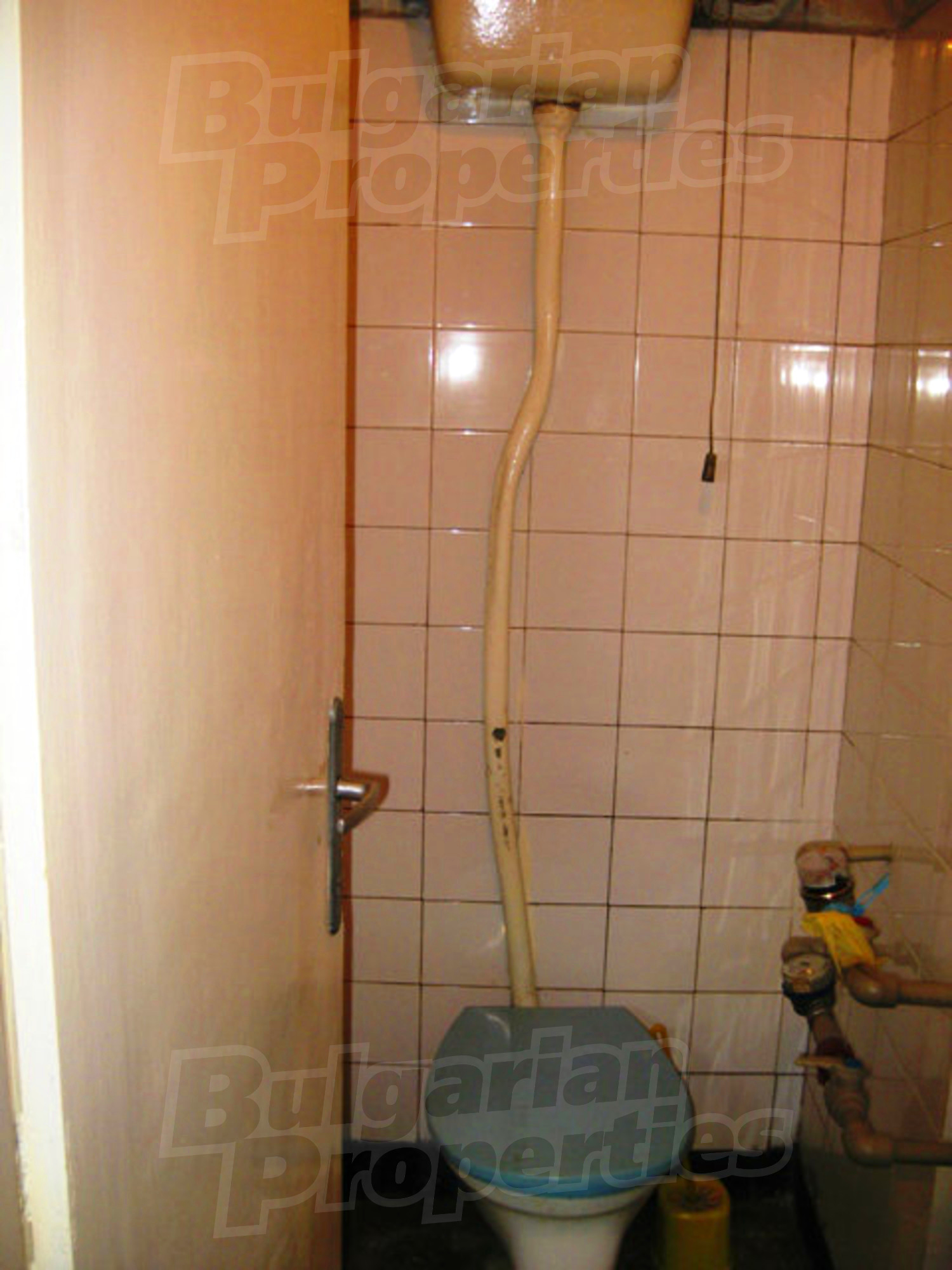 Gallery Picture 19