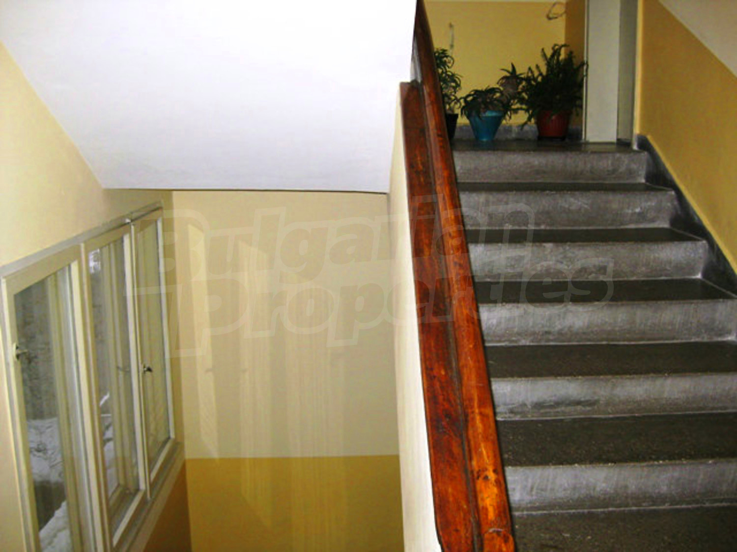 Gallery Picture 27
