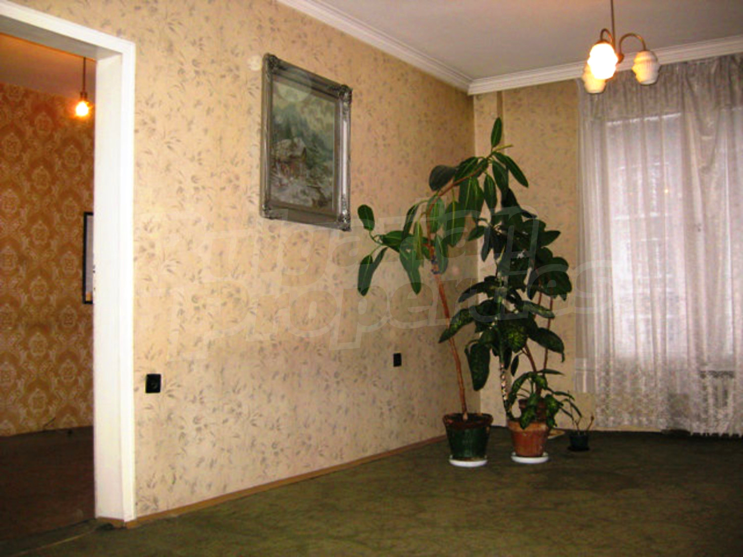 Gallery Picture 3
