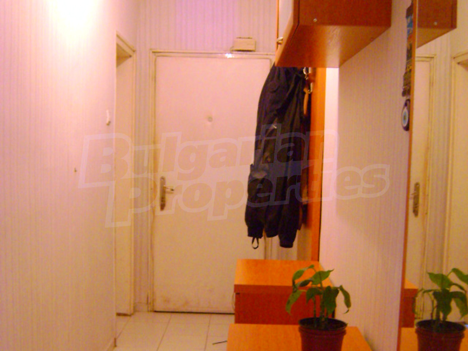 Gallery Picture 2