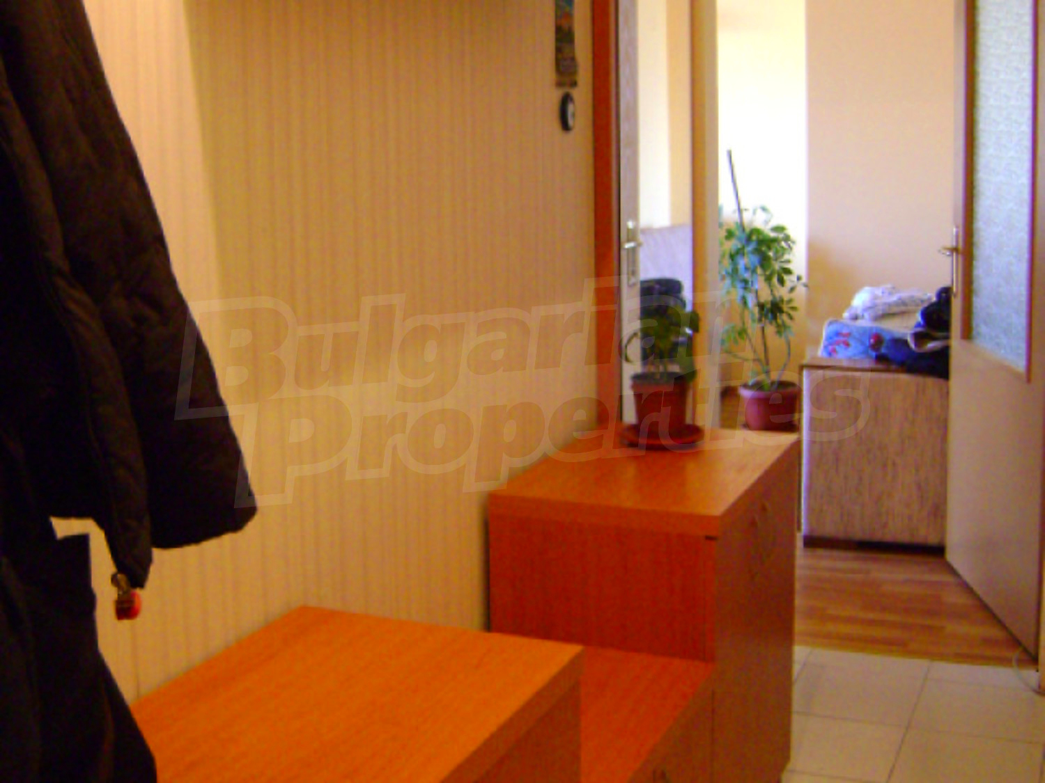 Gallery Picture 3