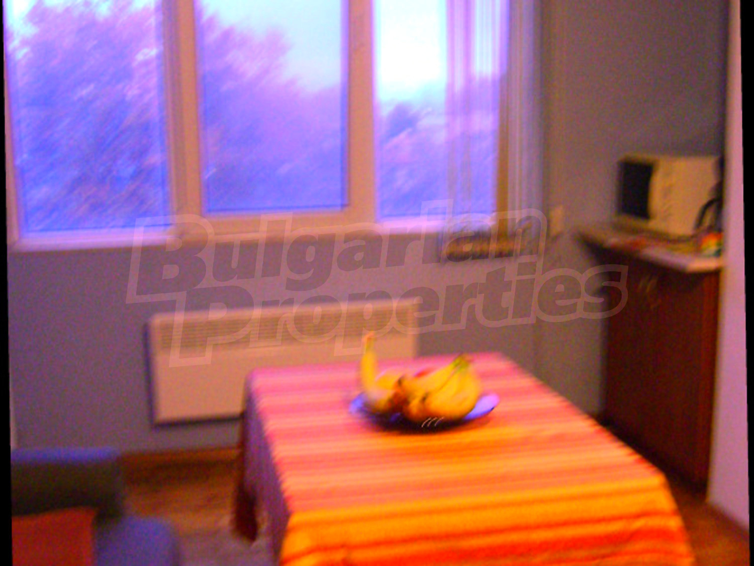 Gallery Picture 8