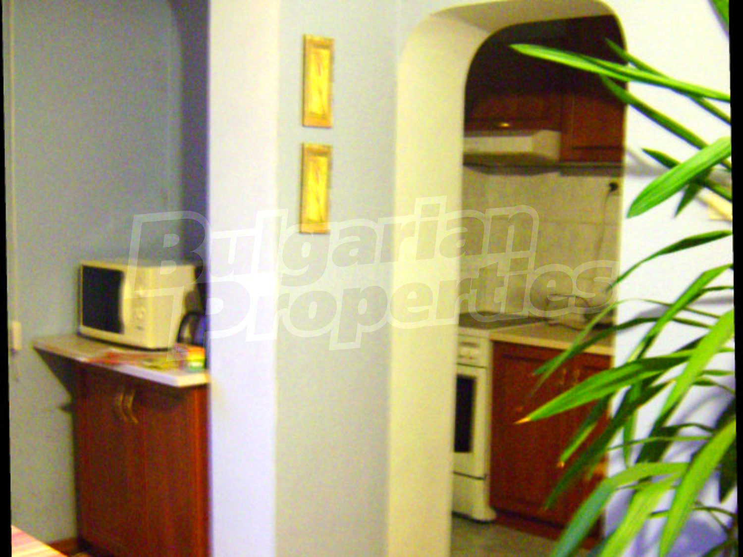 Gallery Picture 9