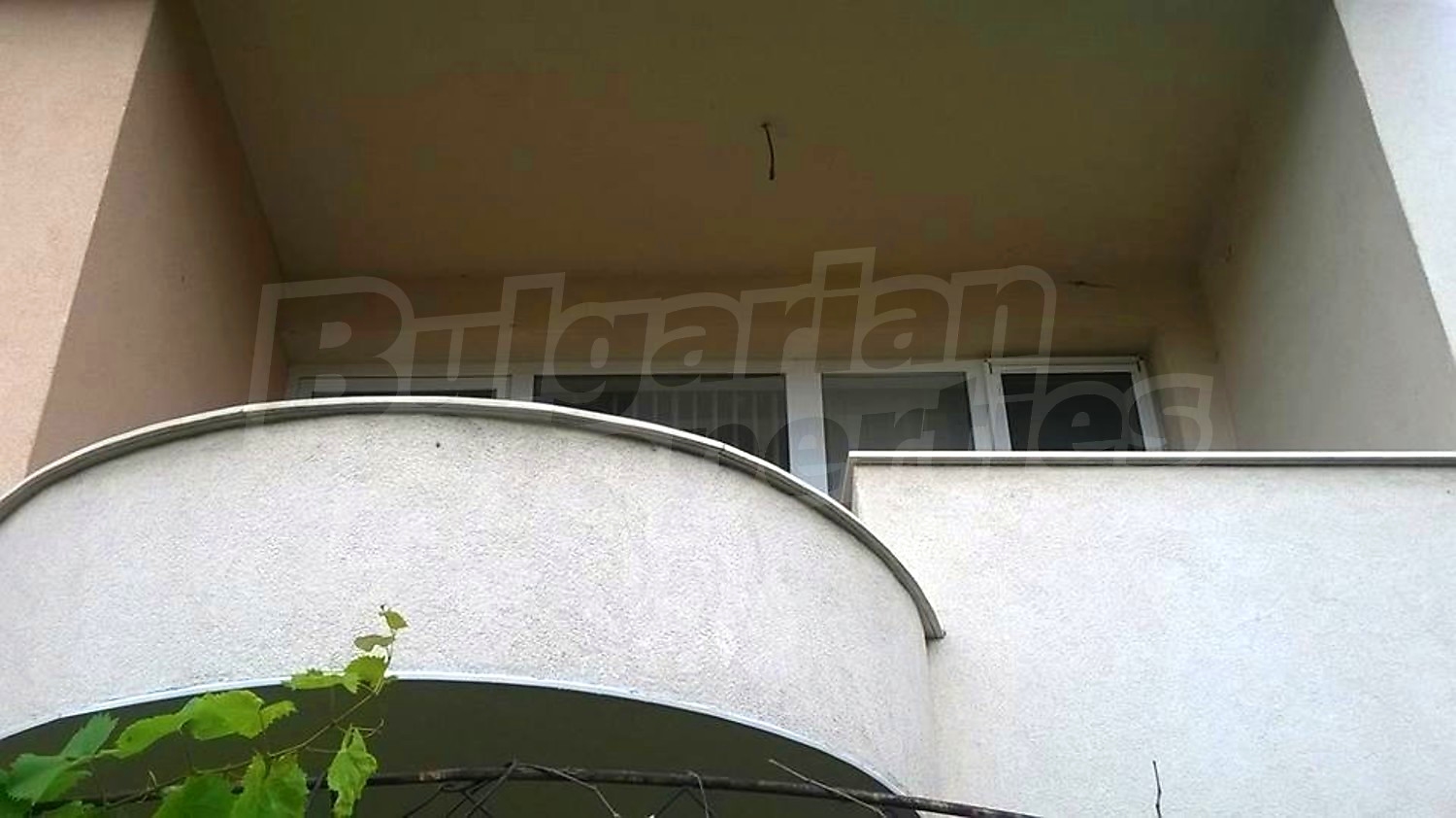 Gallery Picture 14