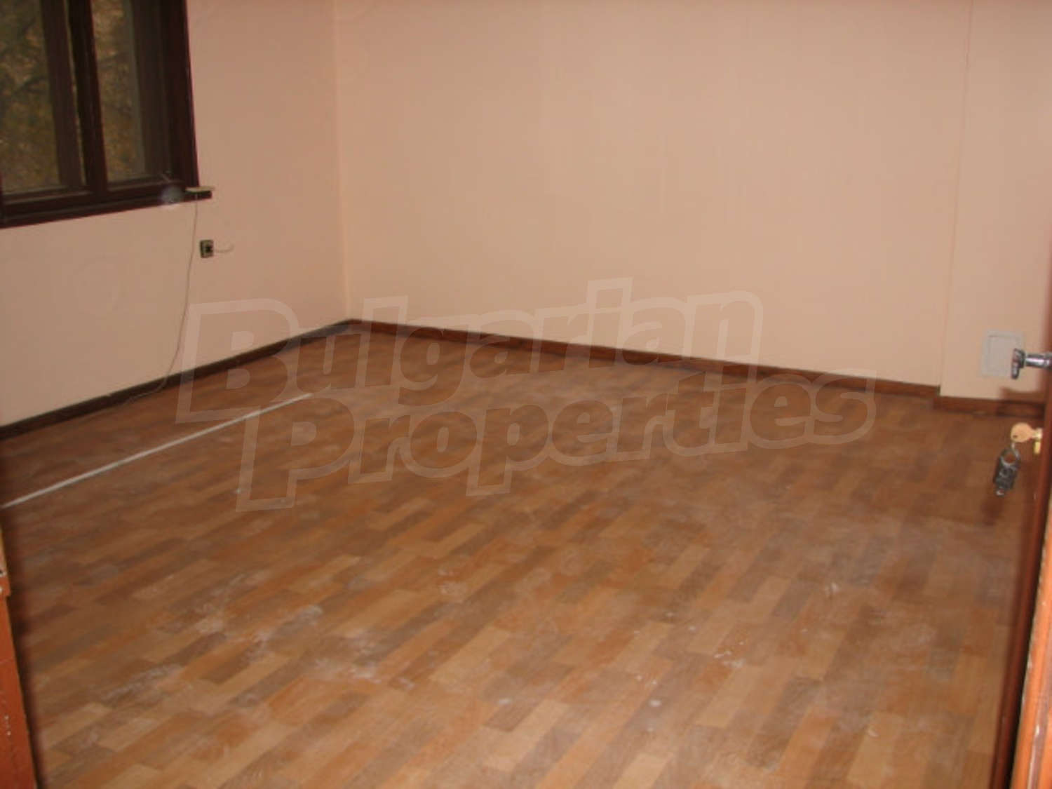Gallery Picture 14