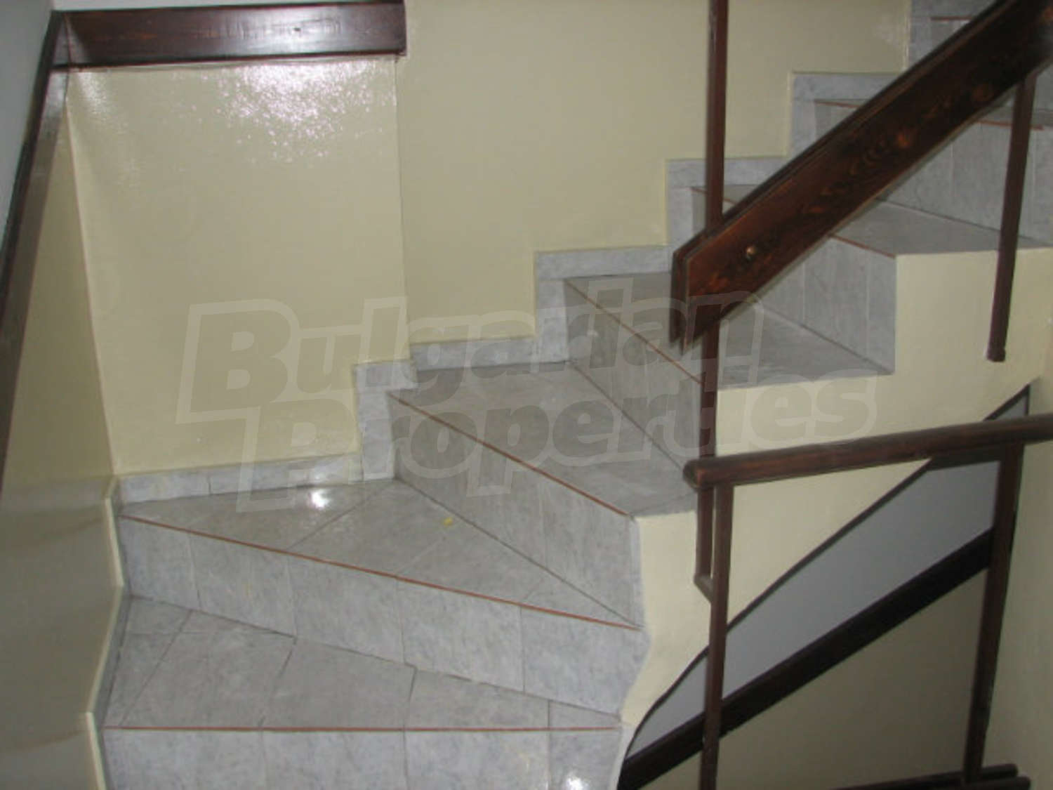 Gallery Picture 25