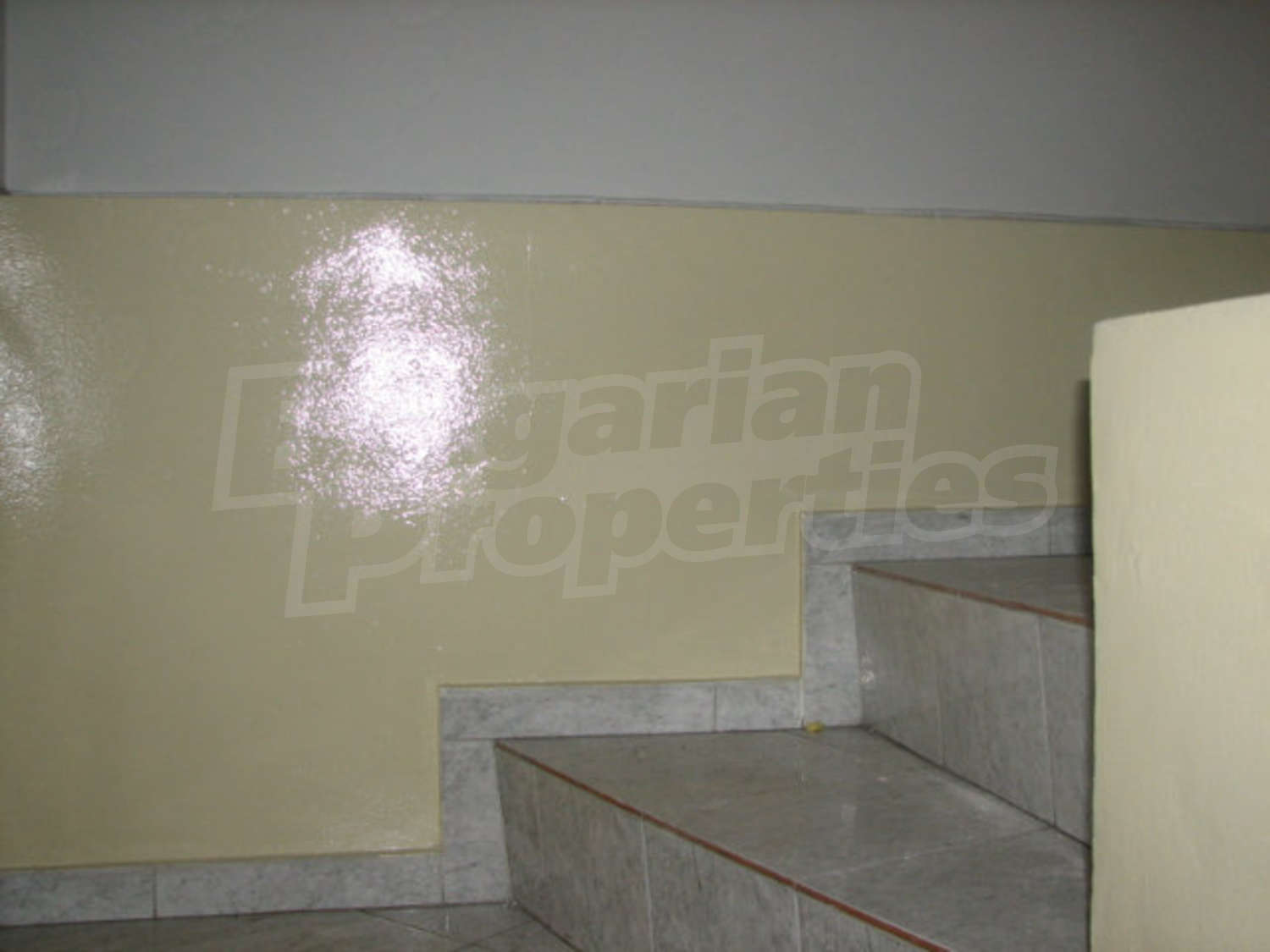 Gallery Picture 26