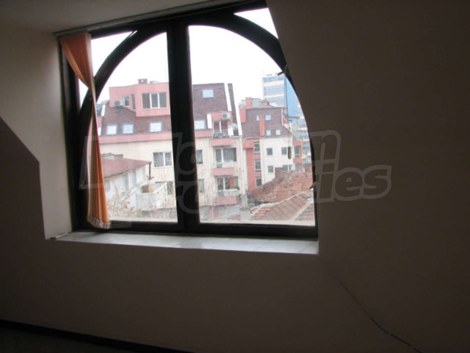 Gallery Picture 29