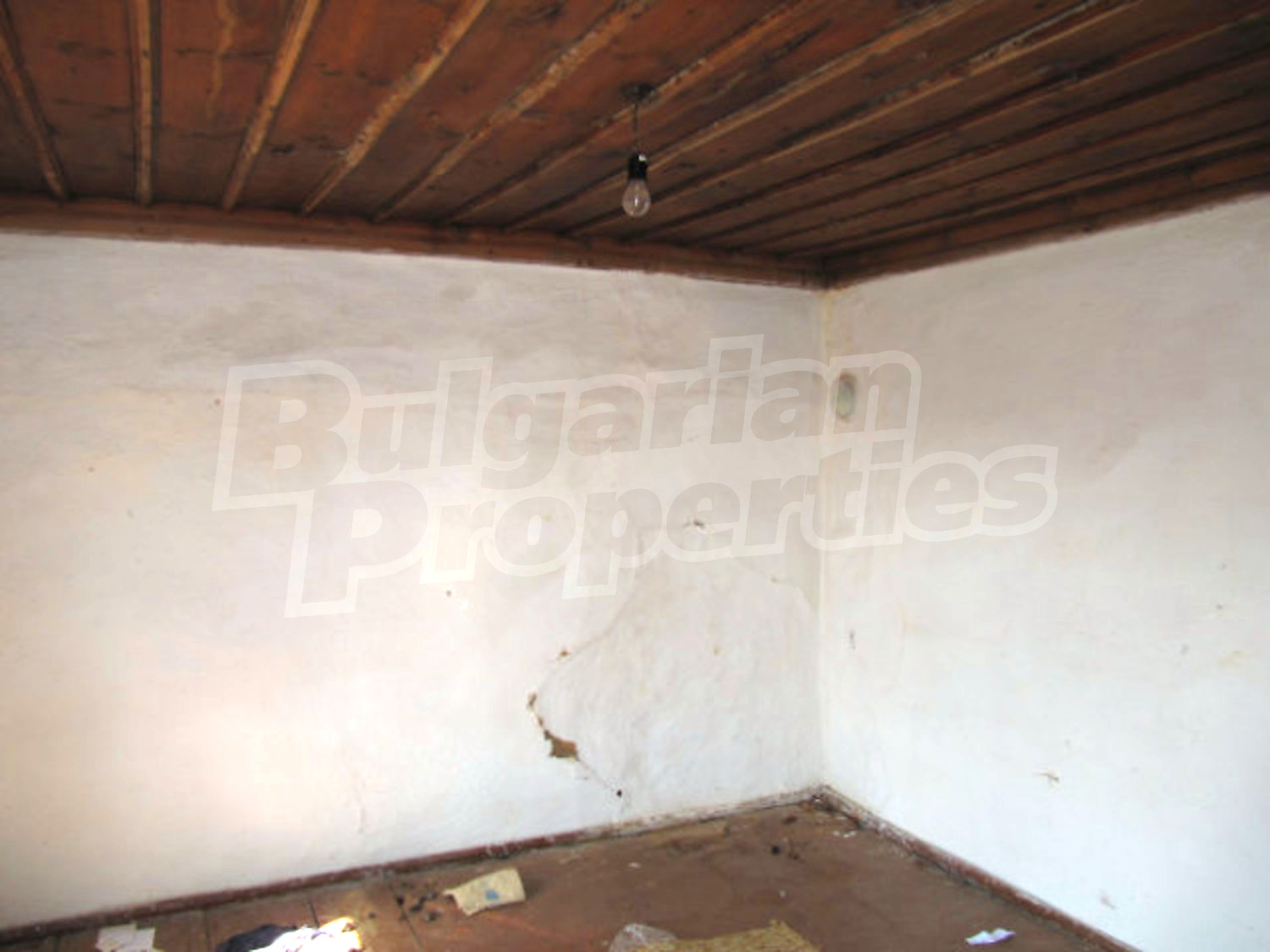 Gallery Picture 14