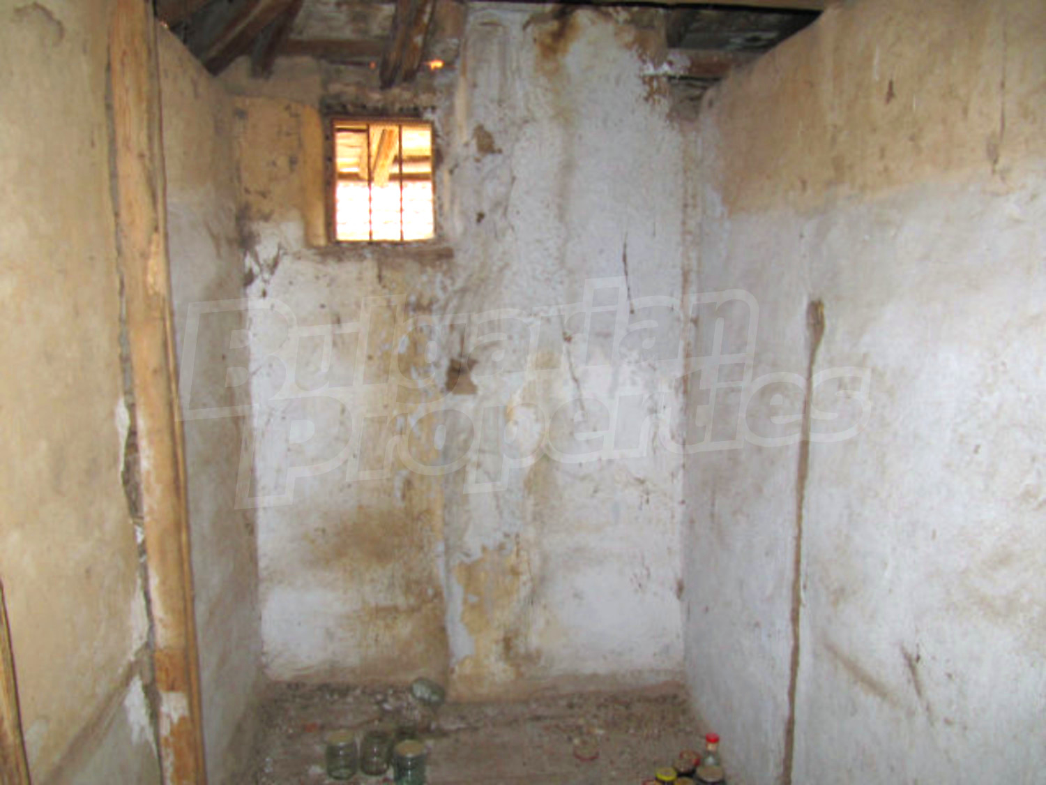 Gallery Picture 17
