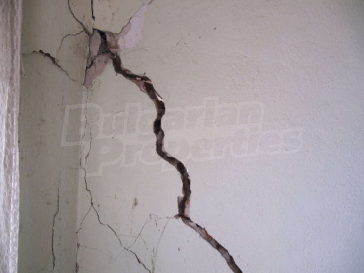 Gallery Picture 11
