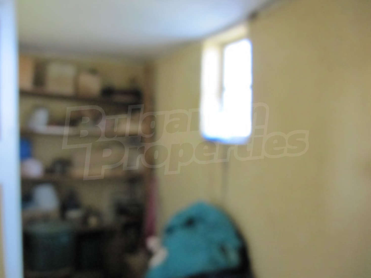 Gallery Picture 12
