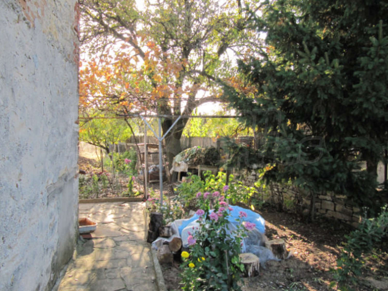 Gallery Picture 15