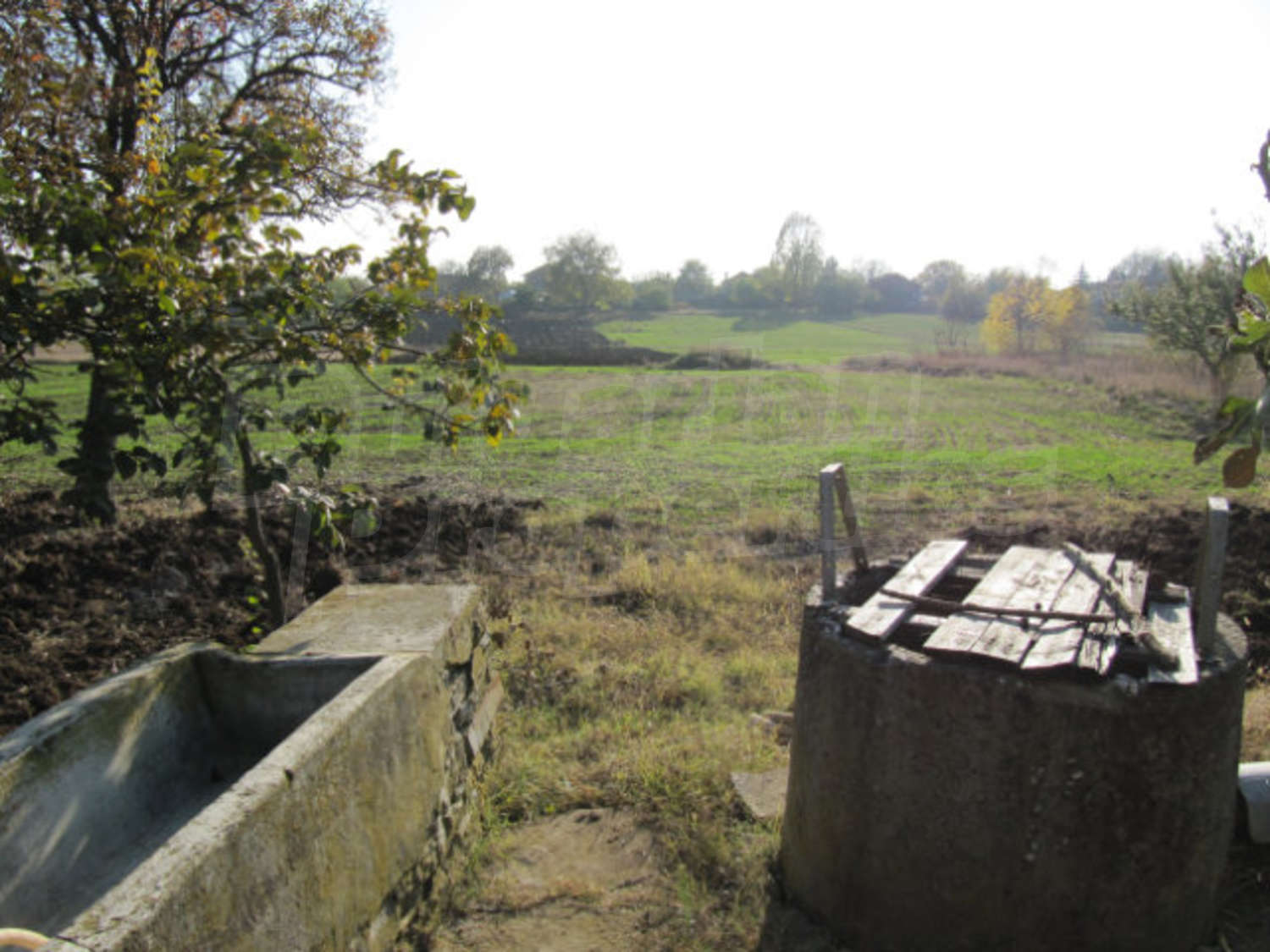 Gallery Picture 19