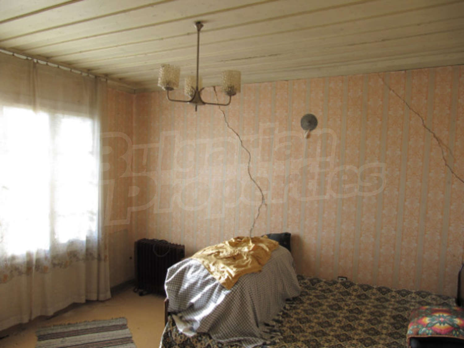 Gallery Picture 8