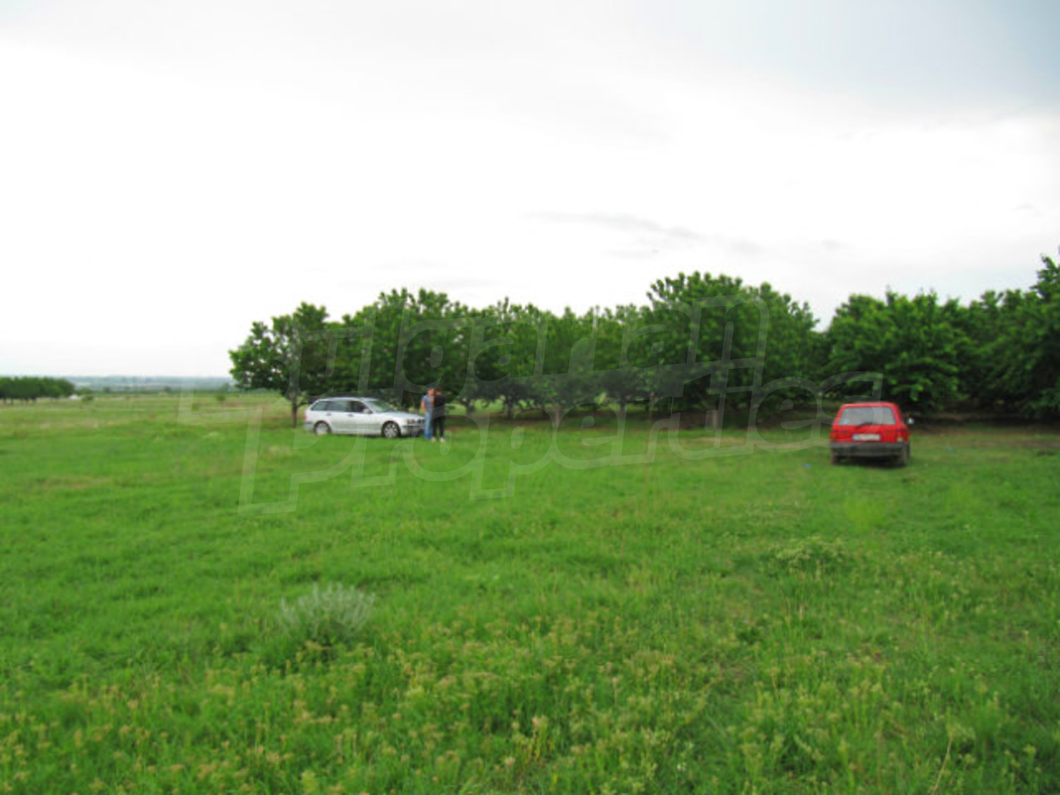 Gallery Picture 8