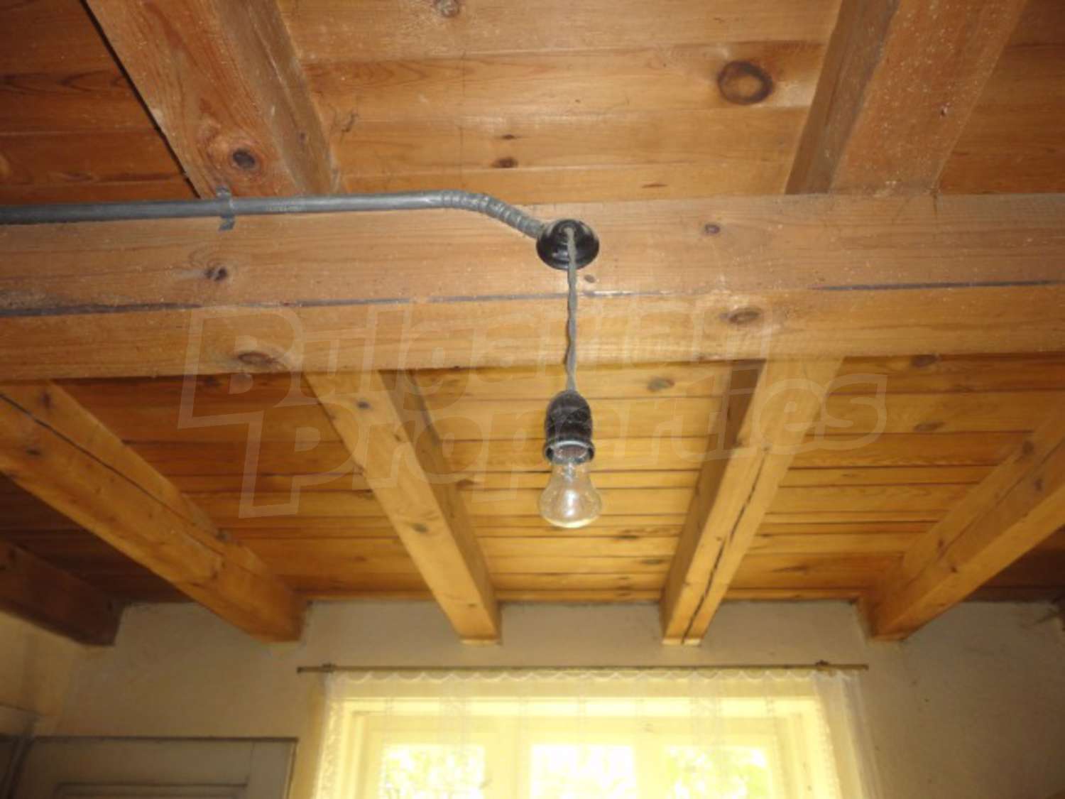 Gallery Picture 16