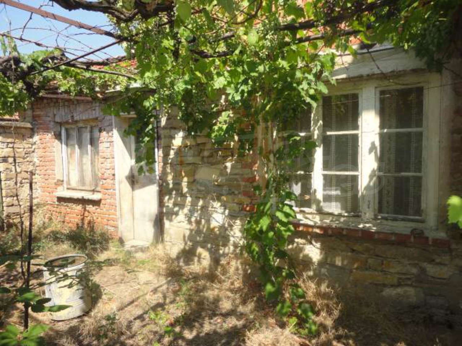Gallery Picture 24