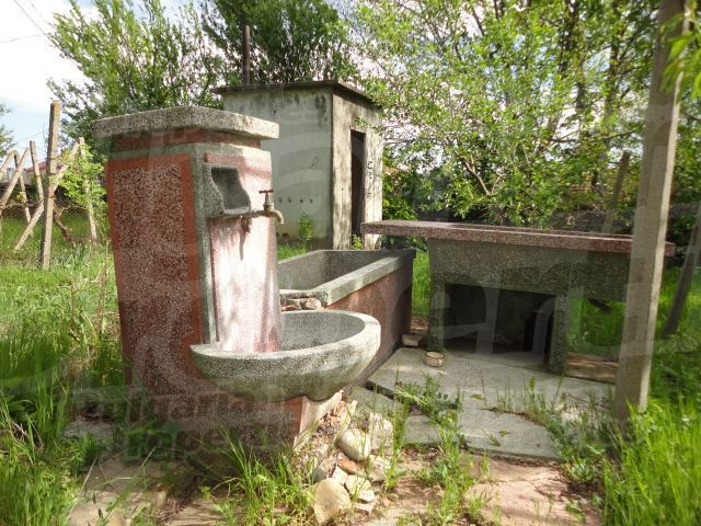 Gallery Picture 25