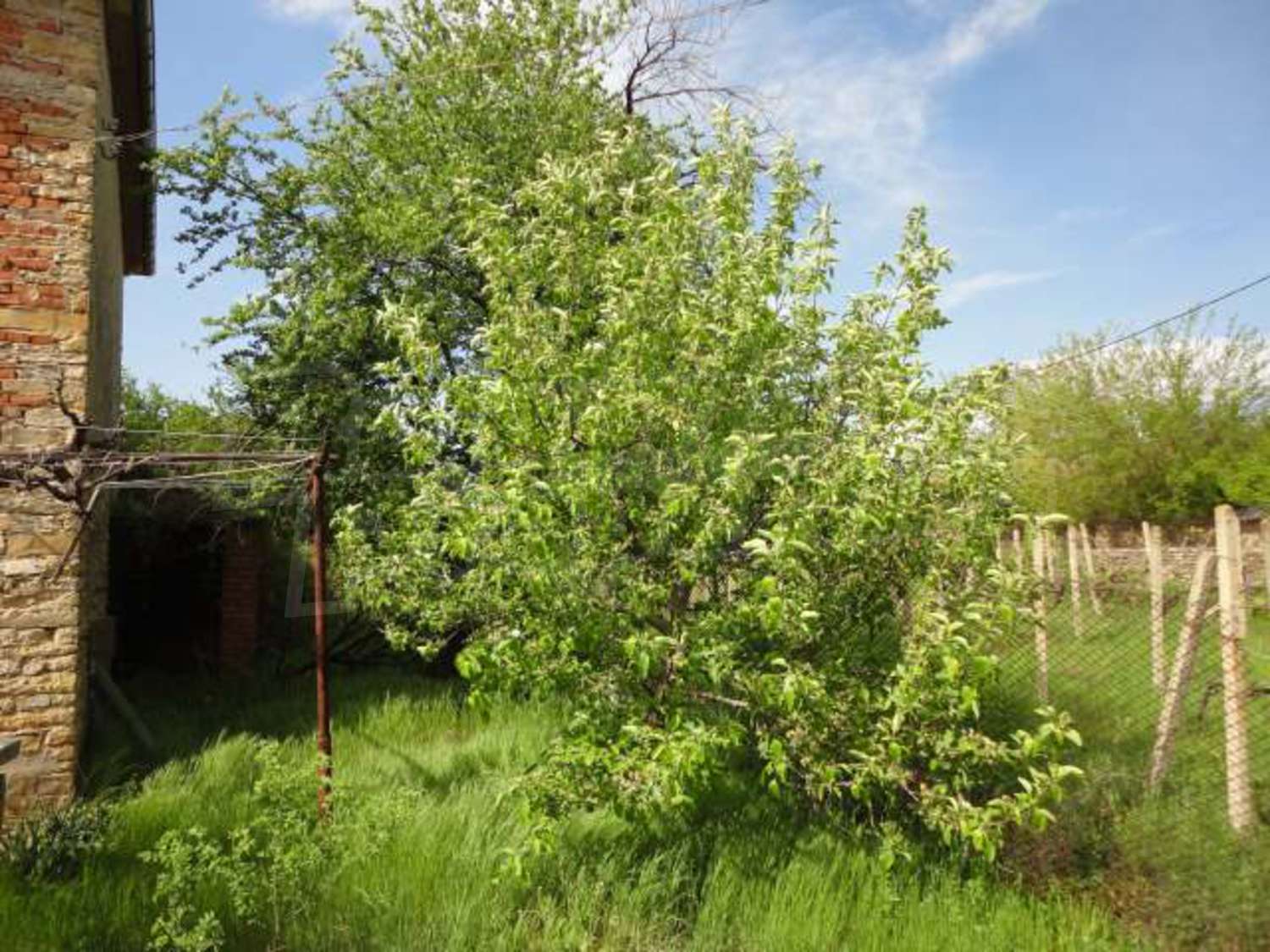 Gallery Picture 26