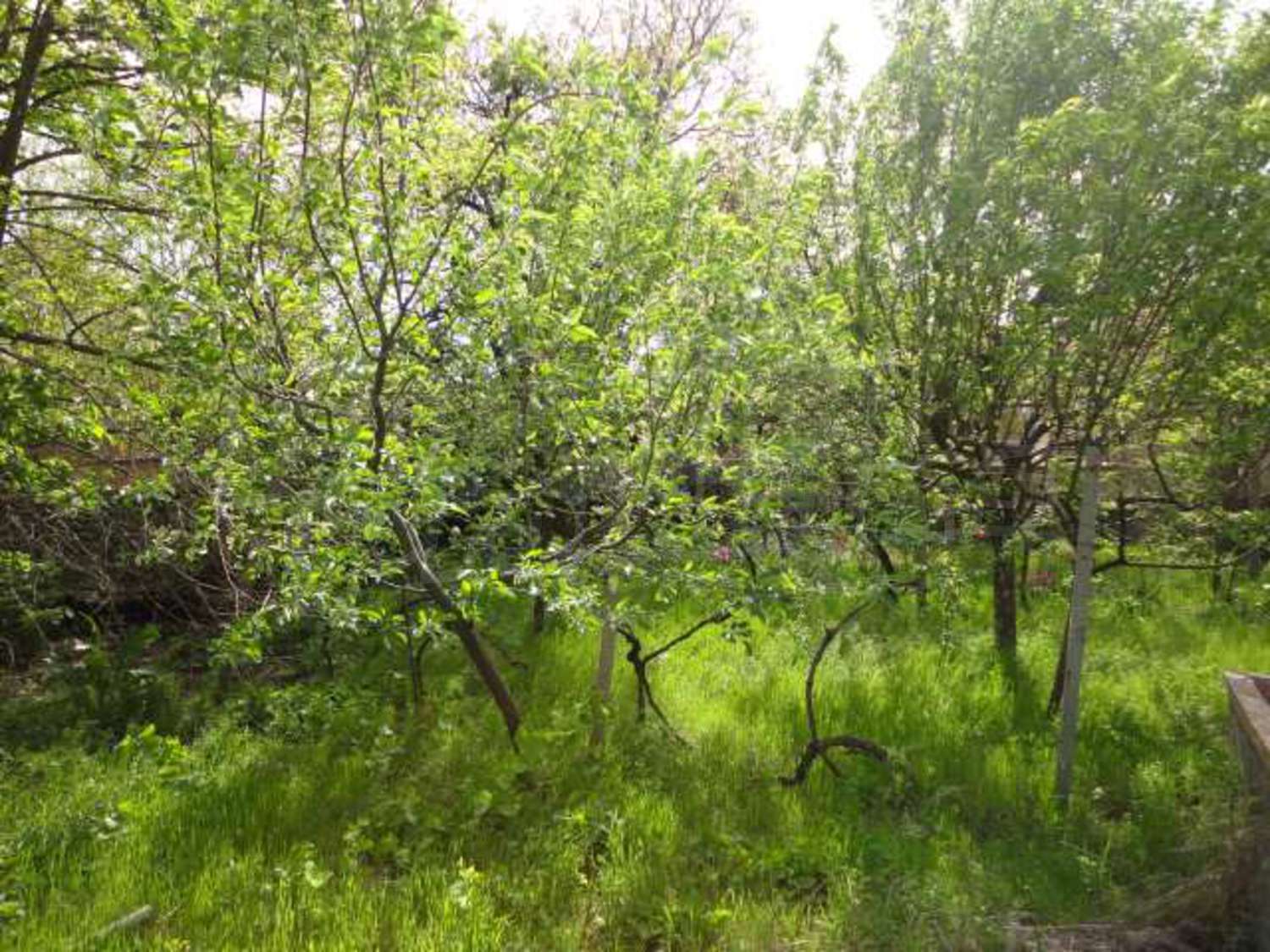 Gallery Picture 27