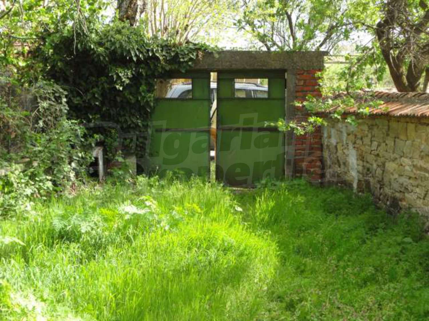 Gallery Picture 33