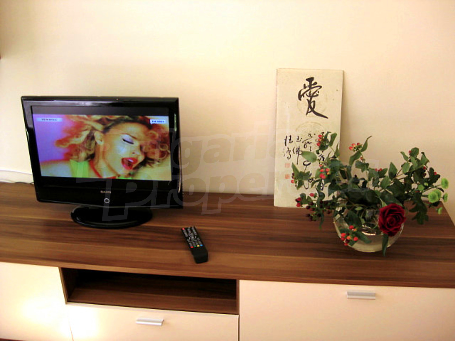 Gallery Picture 11