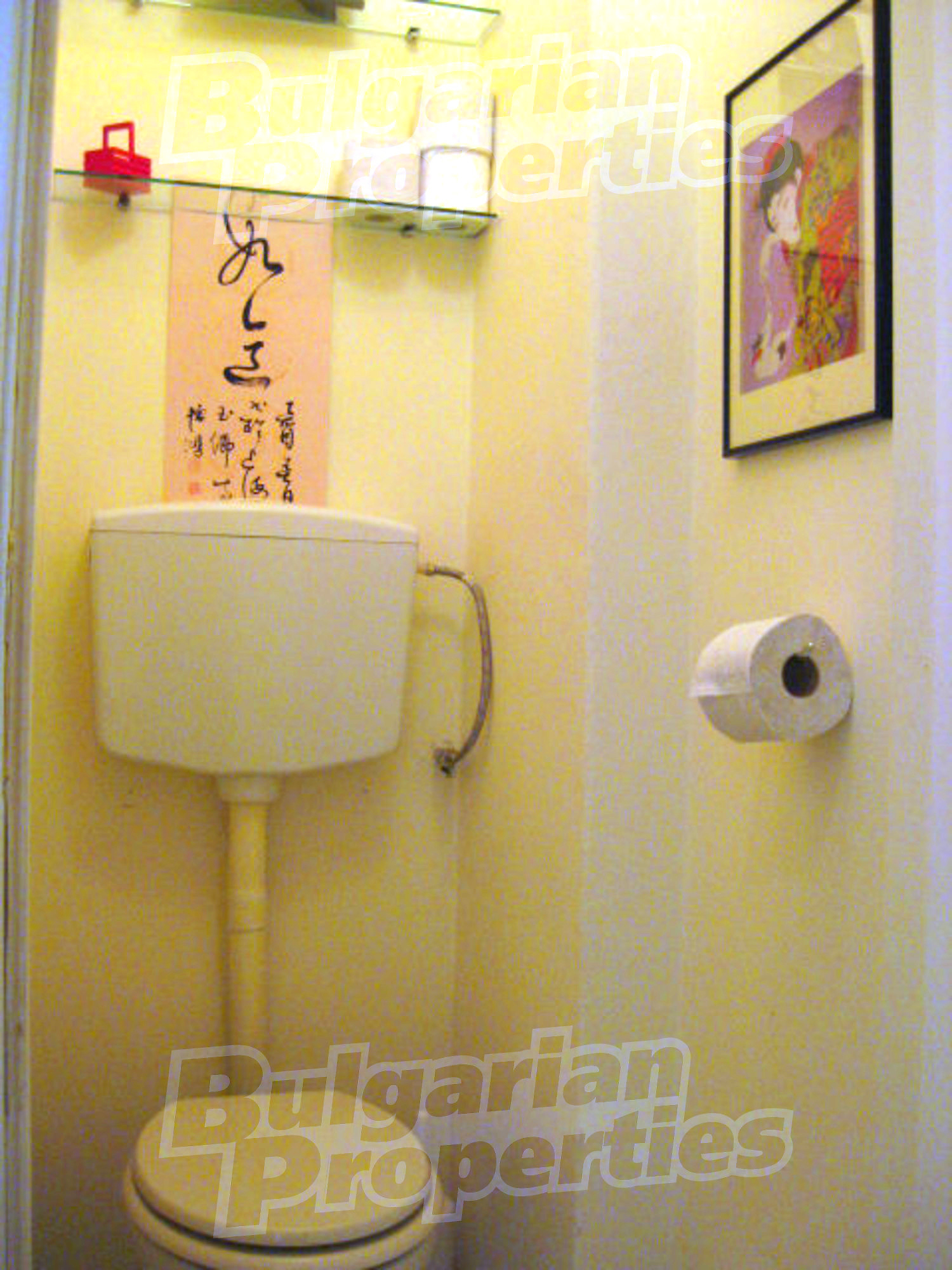 Gallery Picture 26