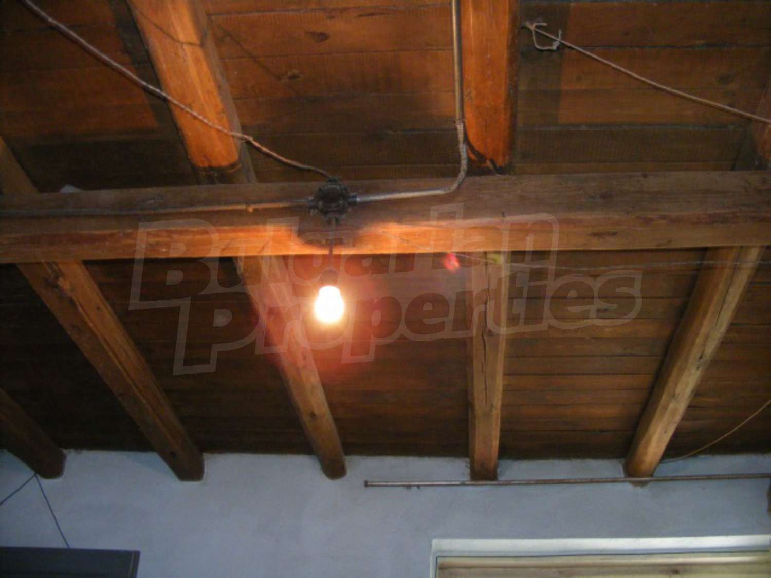Gallery Picture 12