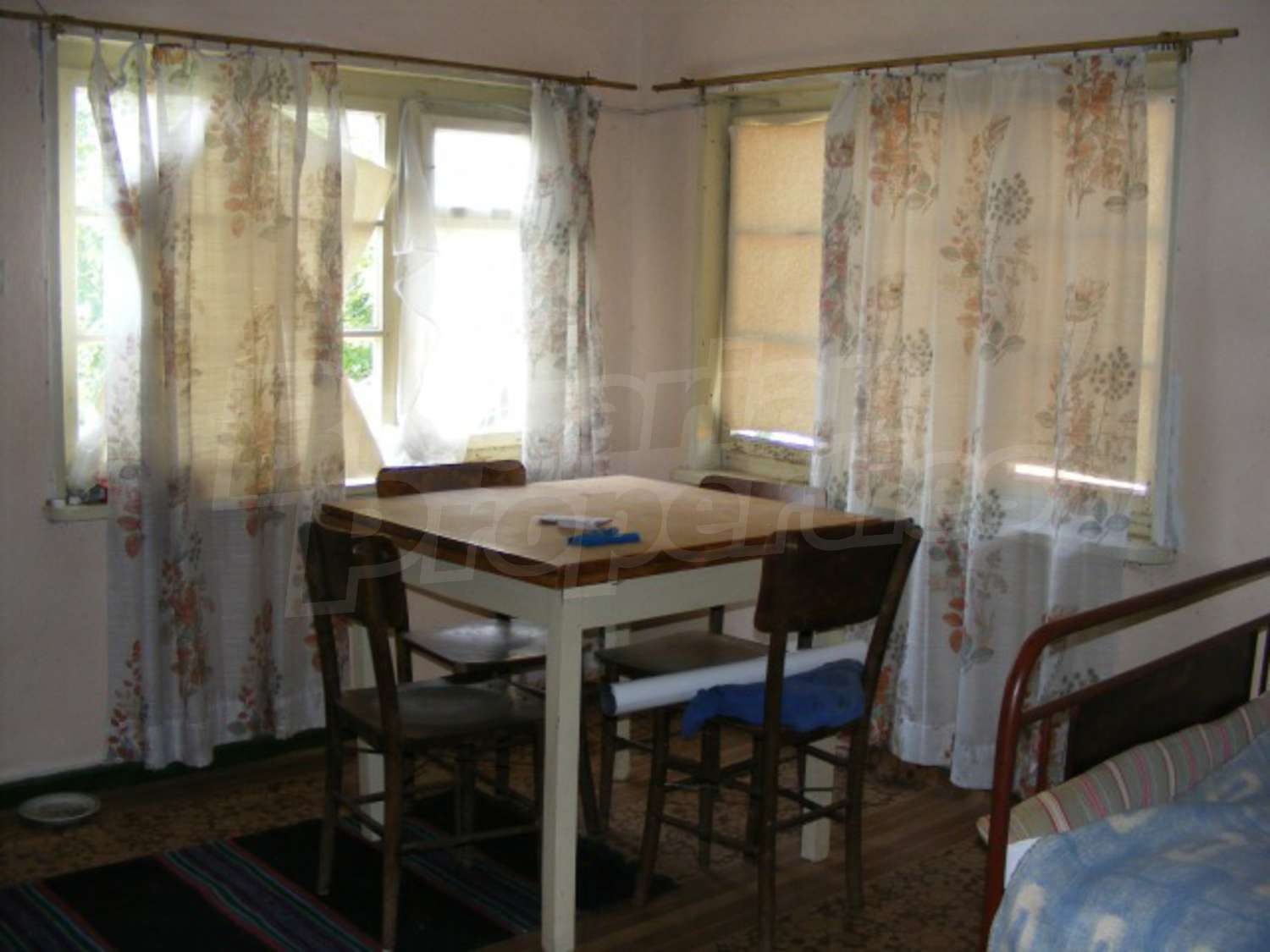 Gallery Picture 17