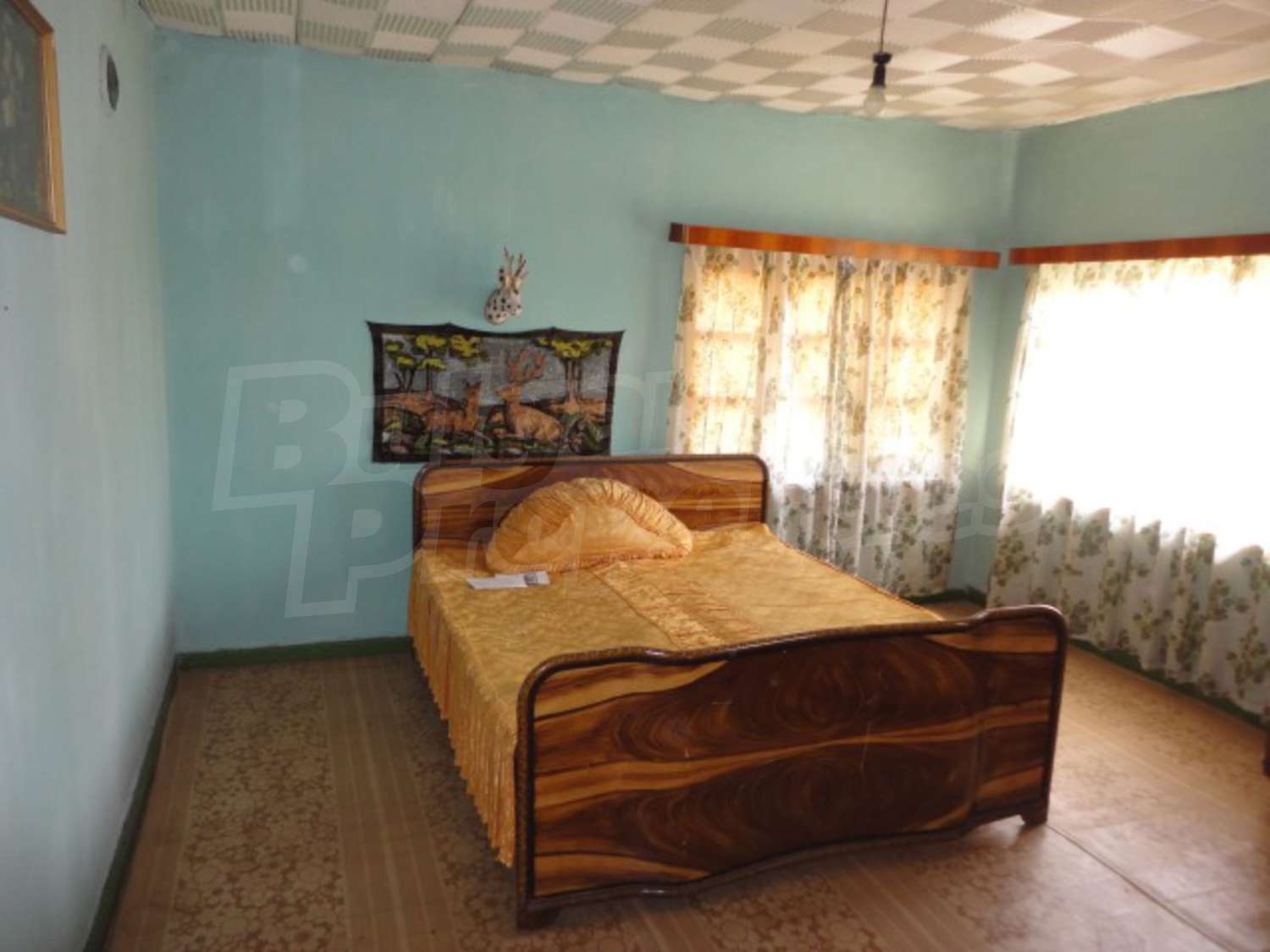 Gallery Picture 19