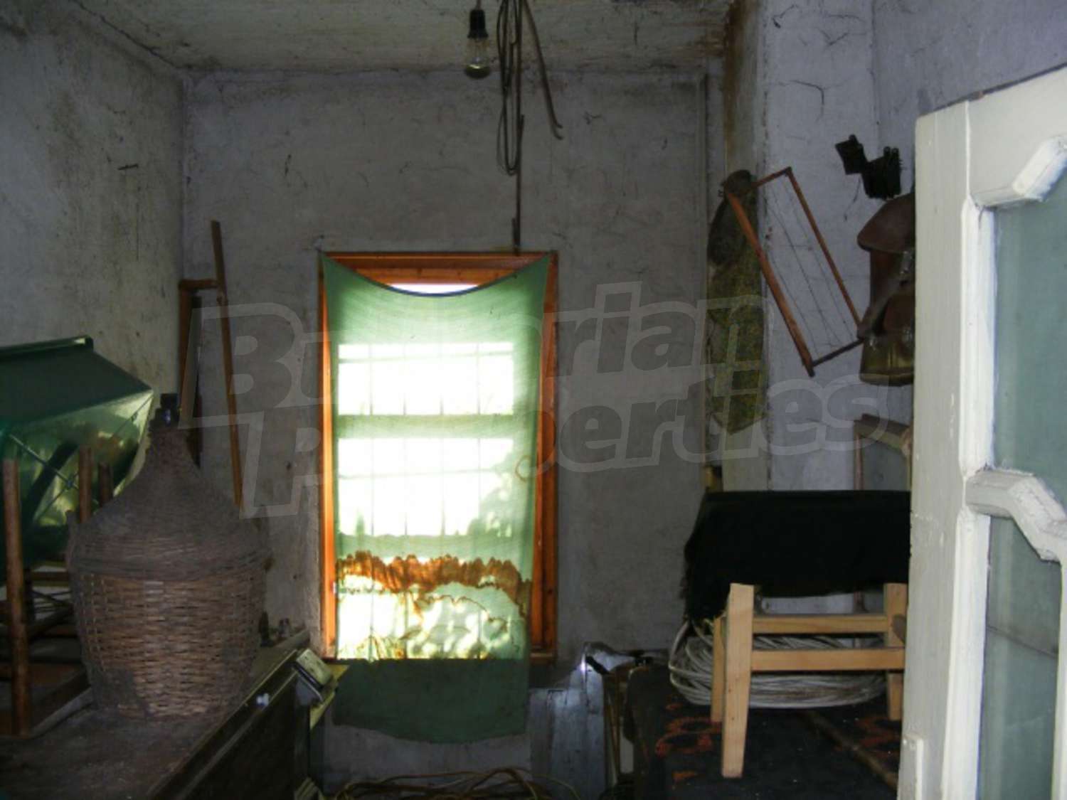 Gallery Picture 23